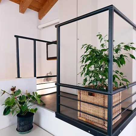 Apartment San Zen Che Ride *